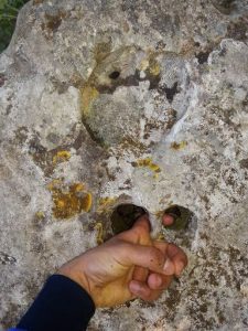 یافتن دفینه از طریق قبرهای سنگ چین اشکانی